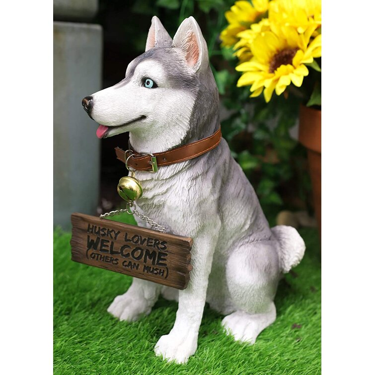 Husky puppy 2024 collar size